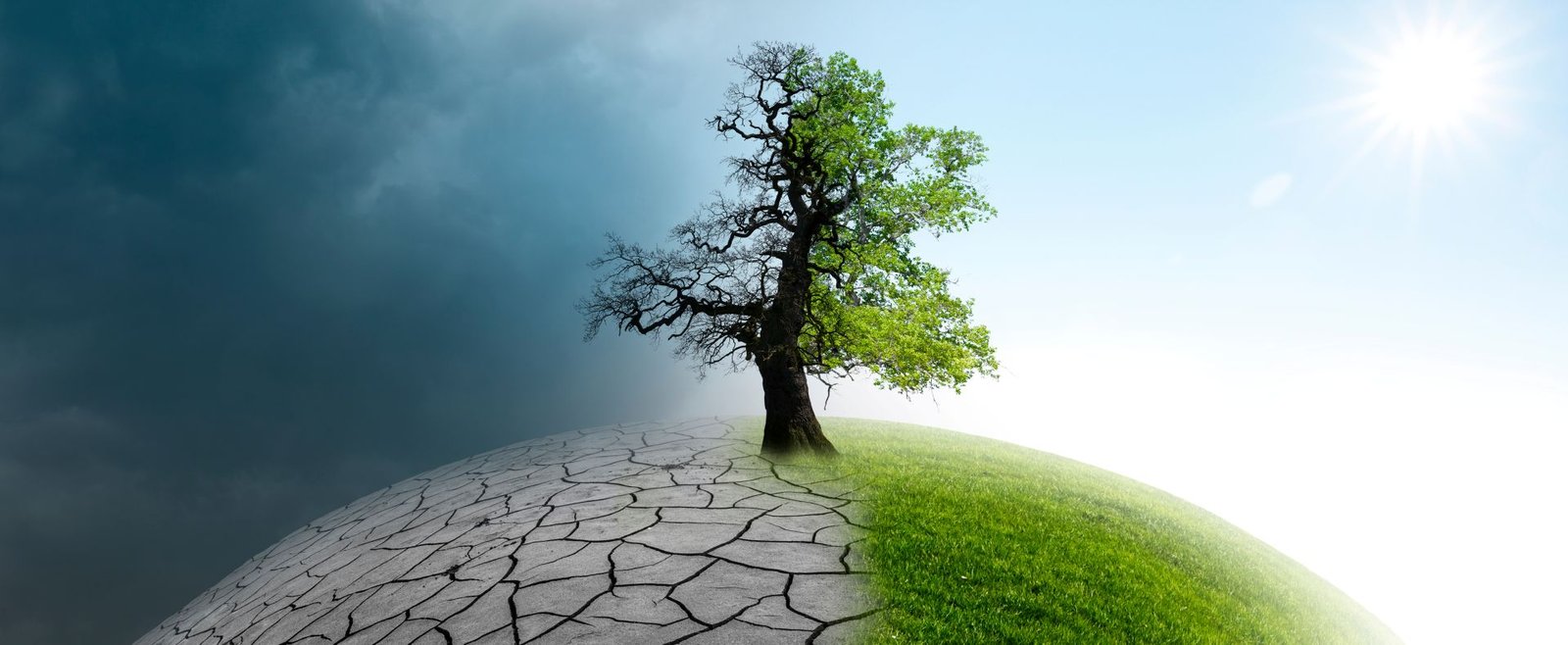 Cientistas afirmam que sinais de mudança climática induzida pelo homem eram detectáveis há mais de 130 anos
